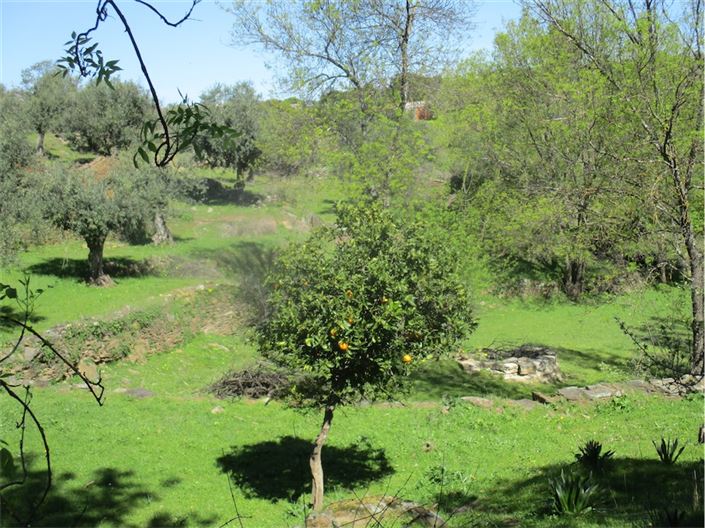 Image No.18-Farmhouse for sale