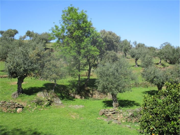 Image No.20-Farmhouse for sale