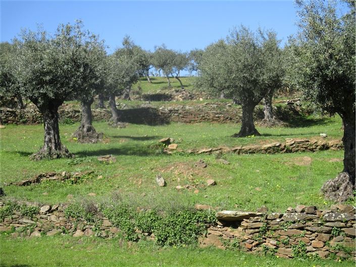 Image No.24-Farmhouse for sale