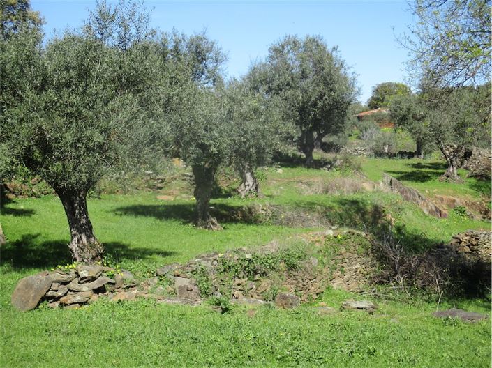 Image No.25-Farmhouse for sale