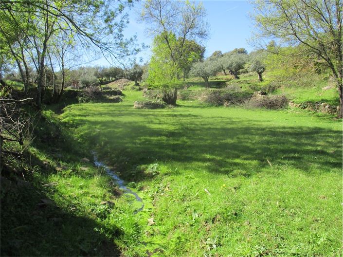 Image No.27-Farmhouse for sale