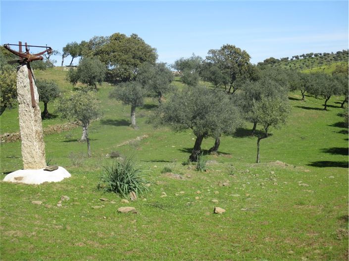 Image No.3-Farmhouse for sale