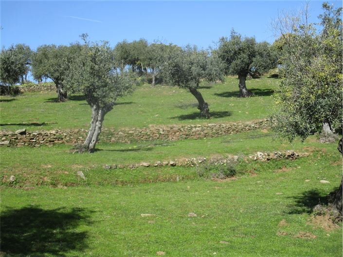 Image No.5-Farmhouse for sale