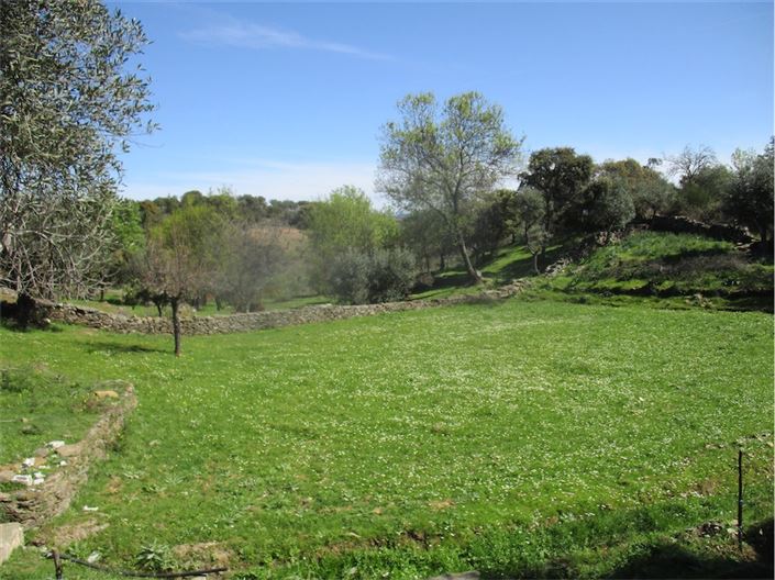 Image No.6-Farmhouse for sale