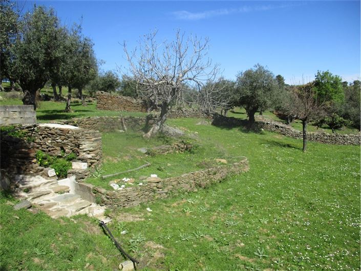 Image No.7-Farmhouse for sale