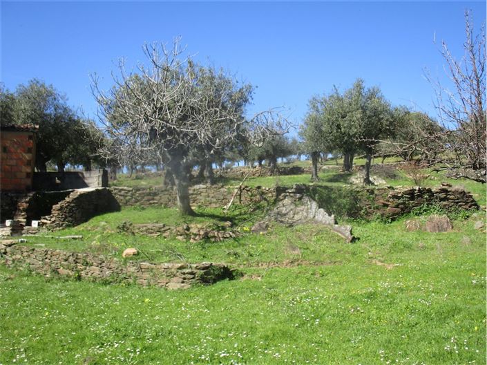 Image No.9-Farmhouse for sale