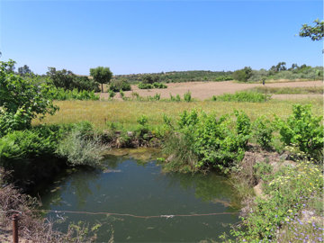 1 - Castelo Branco, Property