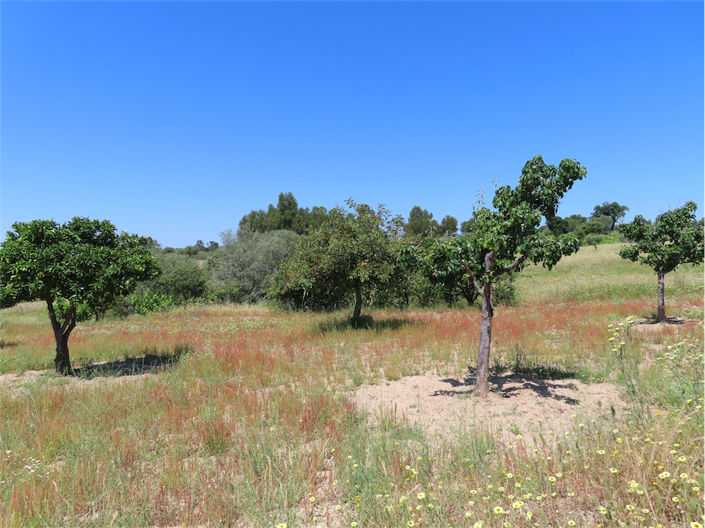 Image No.11-Property for sale