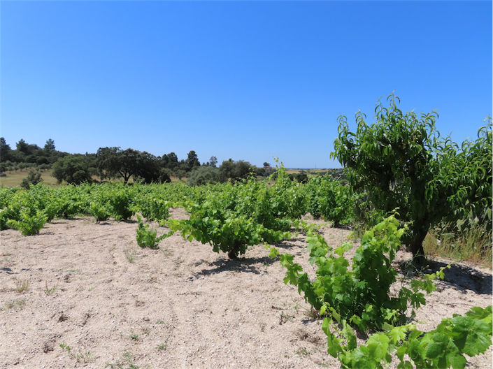 Image No.12-Property for sale