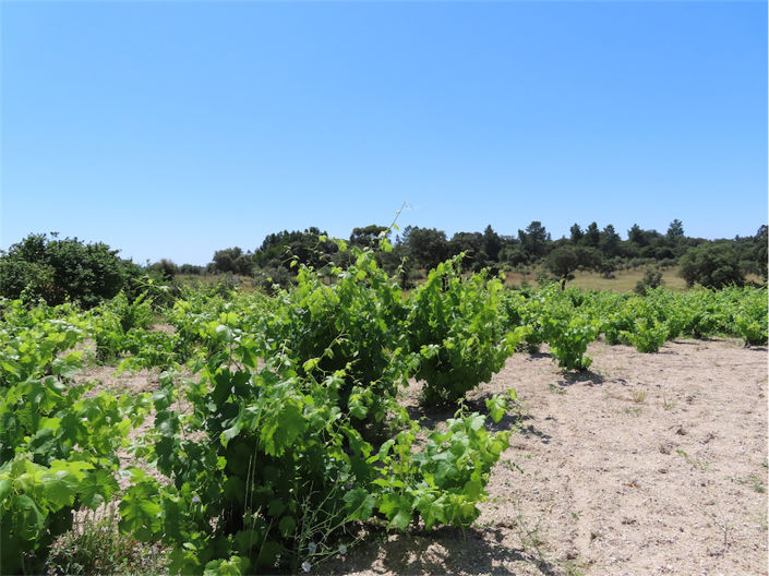 Image No.13-Property for sale