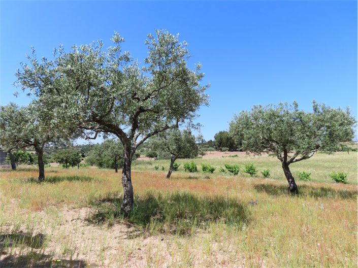 Image No.15-Property for sale