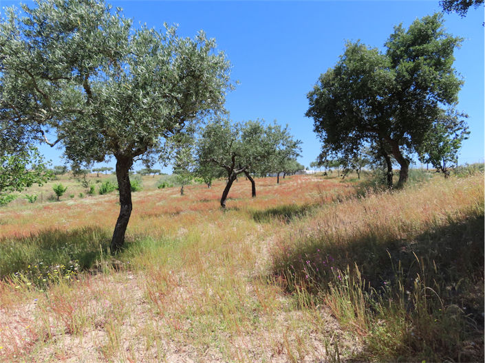 Image No.16-Property for sale