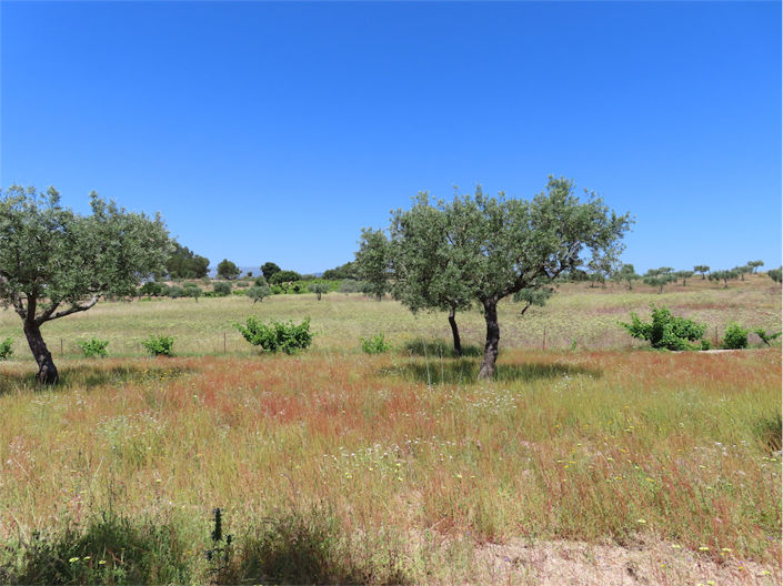 Image No.17-Property for sale