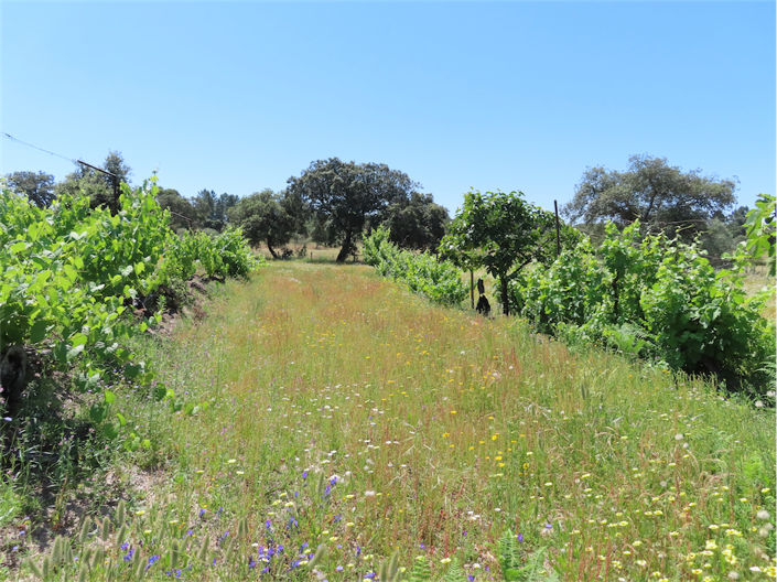 Image No.3-Property for sale