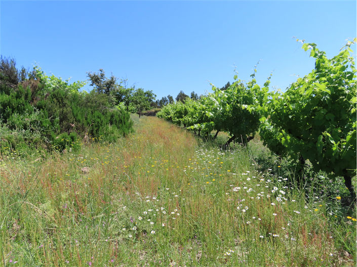 Image No.4-Property for sale