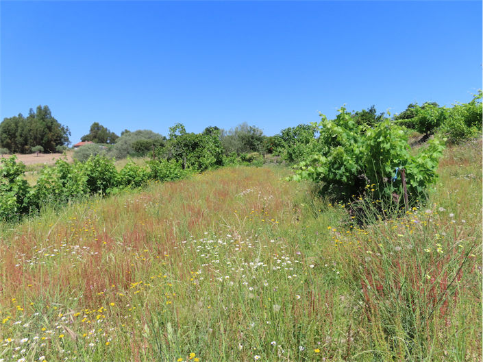 Image No.5-Property for sale