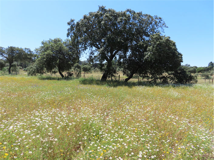 Image No.6-Property for sale