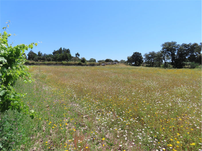 Image No.7-Property for sale