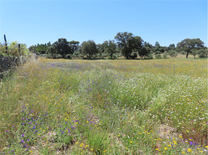 Image No.8-Property for sale