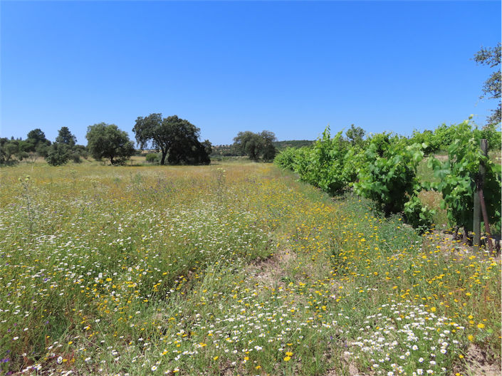 Image No.9-Property for sale