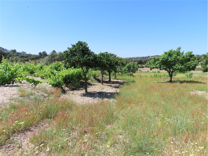 Image No.10-Property for sale