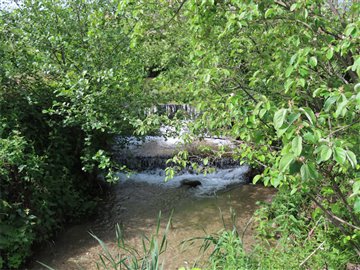 1 - Castelo Branco, Property