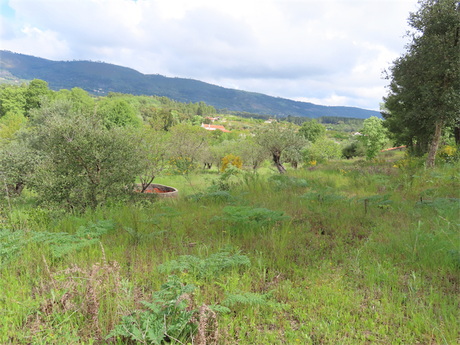 Image No.14-Property for sale