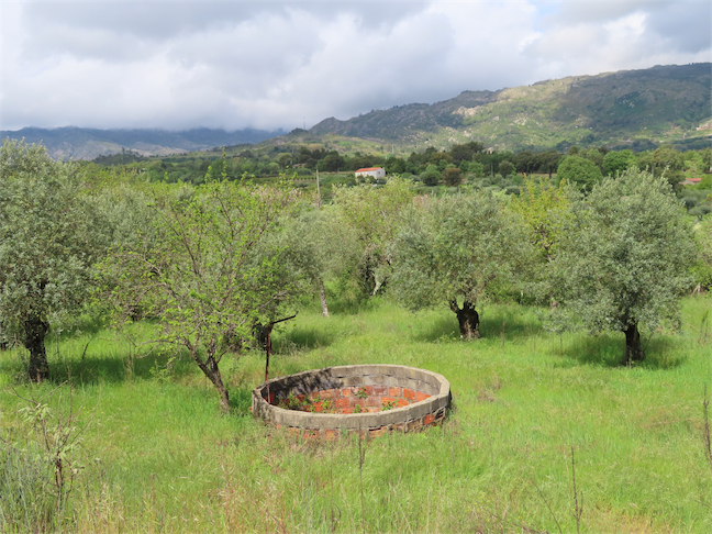 Image No.15-Property for sale