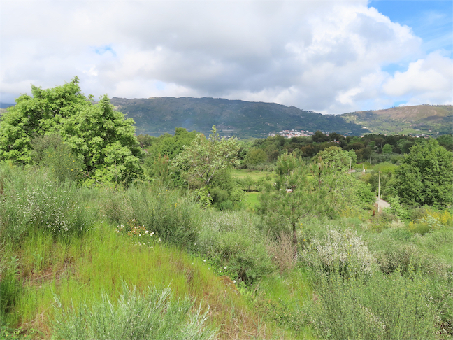 Image No.20-Property for sale