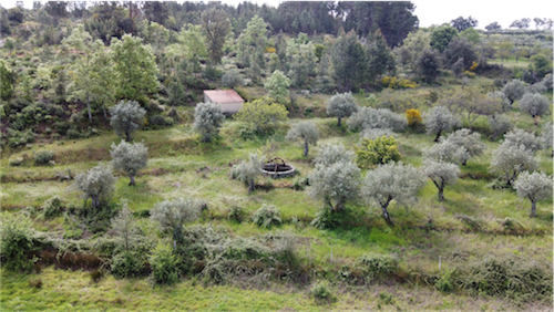 Image No.3-Property for sale