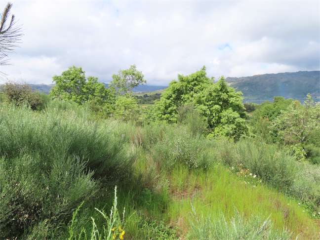 Image No.21-Property for sale