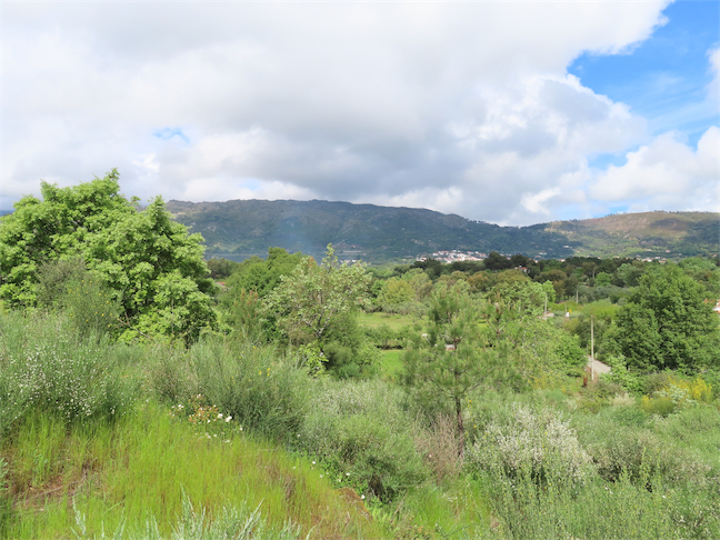 Image No.22-Property for sale