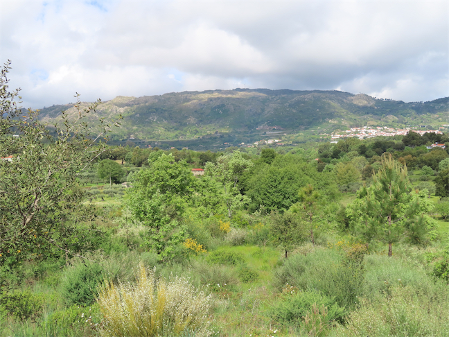 Image No.23-Property for sale