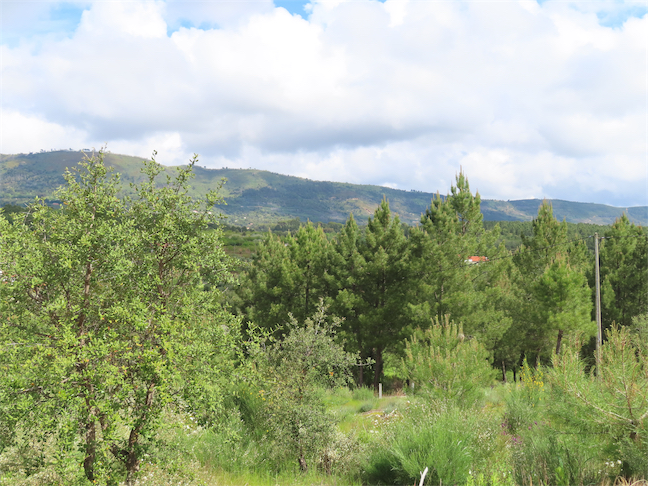 Image No.24-Property for sale