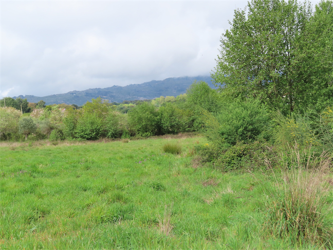 Image No.5-Property for sale