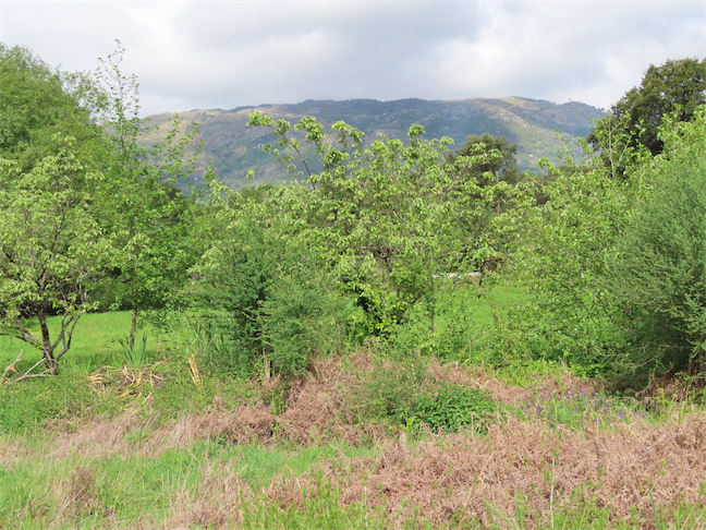 Image No.6-Property for sale