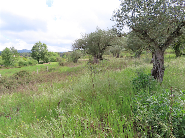 Image No.10-Property for sale