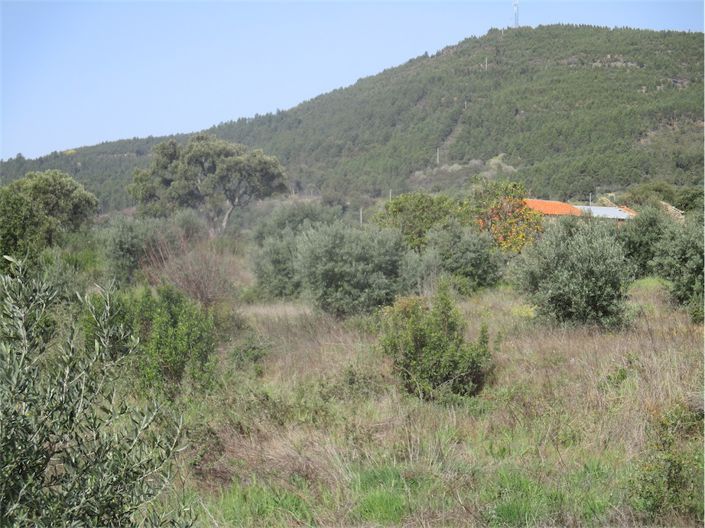 Image No.1-Property for sale