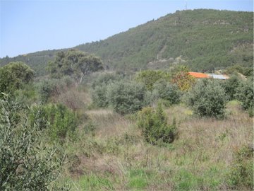 1 - Castelo Branco, Property