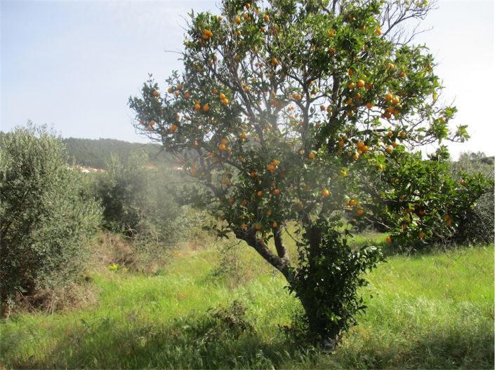 Image No.10-Property for sale