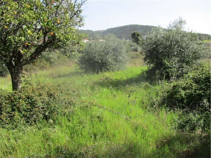 Image No.11-Property for sale