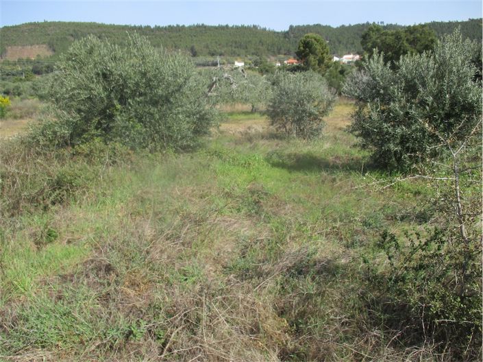 Image No.12-Property for sale