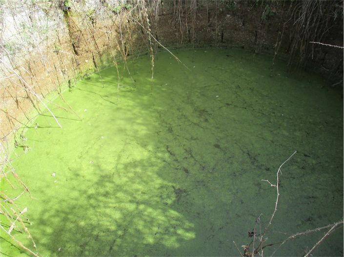 Image No.19-Property for sale