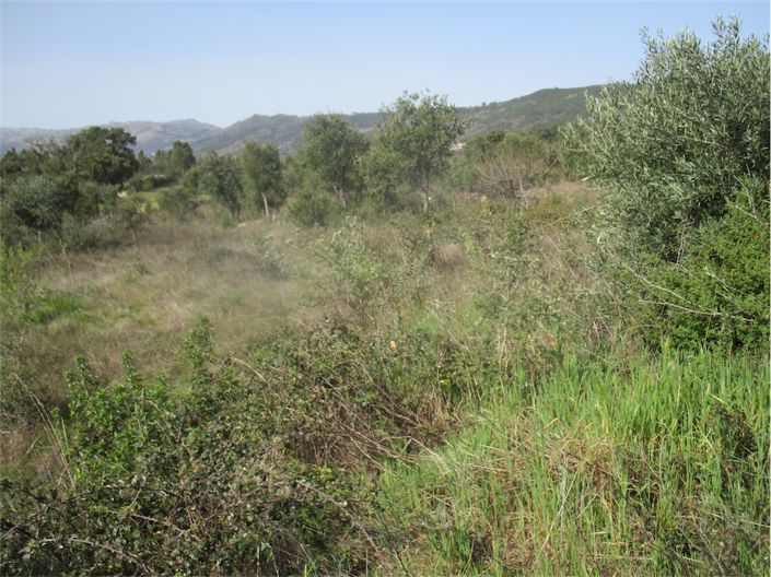 Image No.2-Property for sale