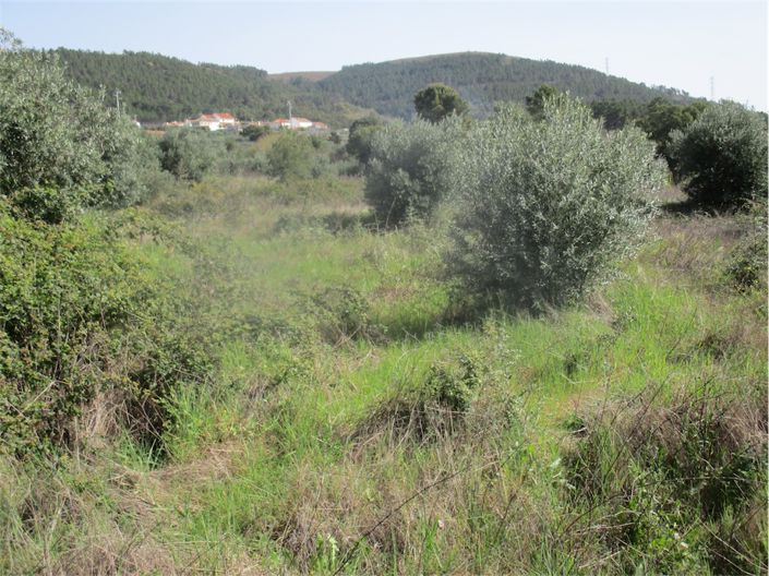 Image No.21-Property for sale