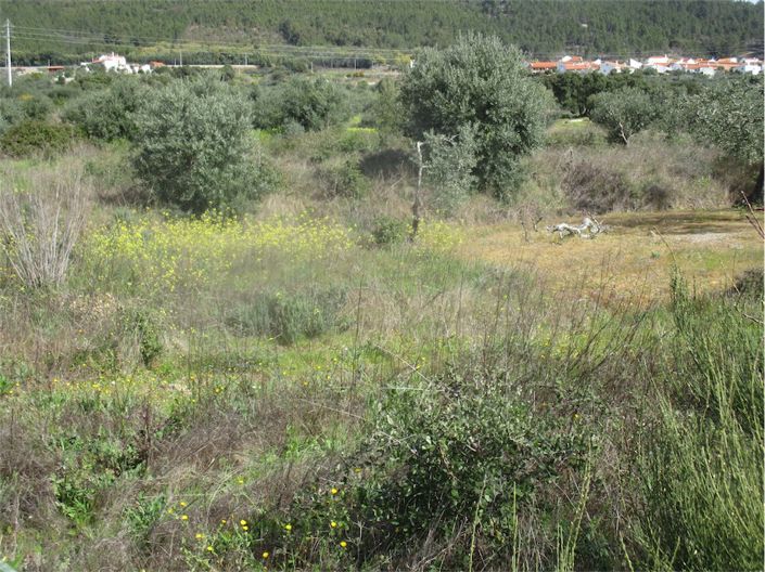 Image No.22-Property for sale