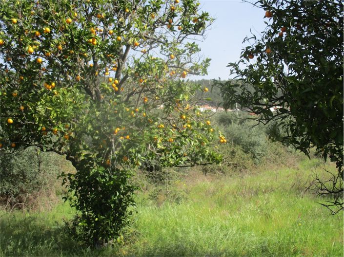 Image No.23-Property for sale