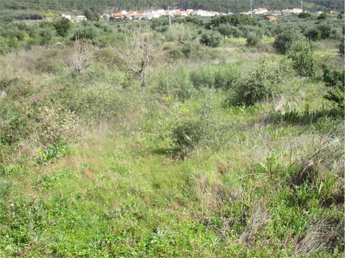 Image No.28-Property for sale