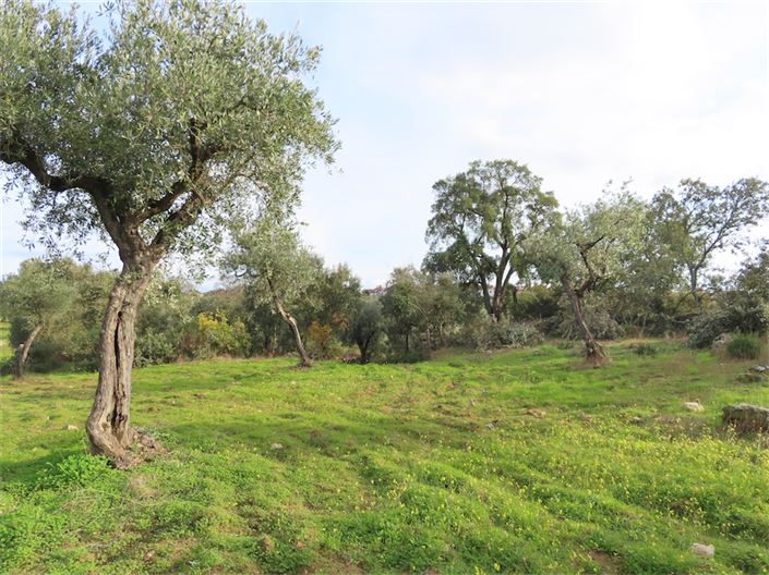 Image No.10-Property for sale