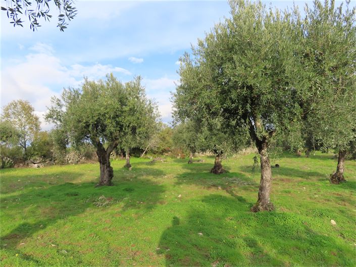 Image No.11-Property for sale